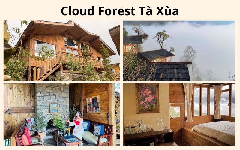 Cloud Forest Ta Xua homestay