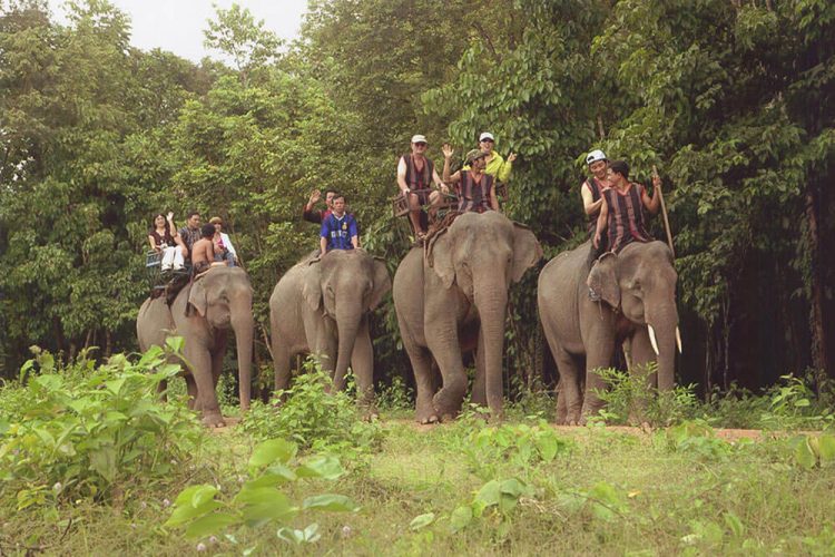 Yok Don National Park