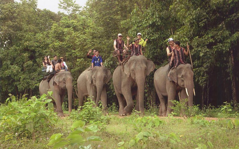 Yok Don National Park