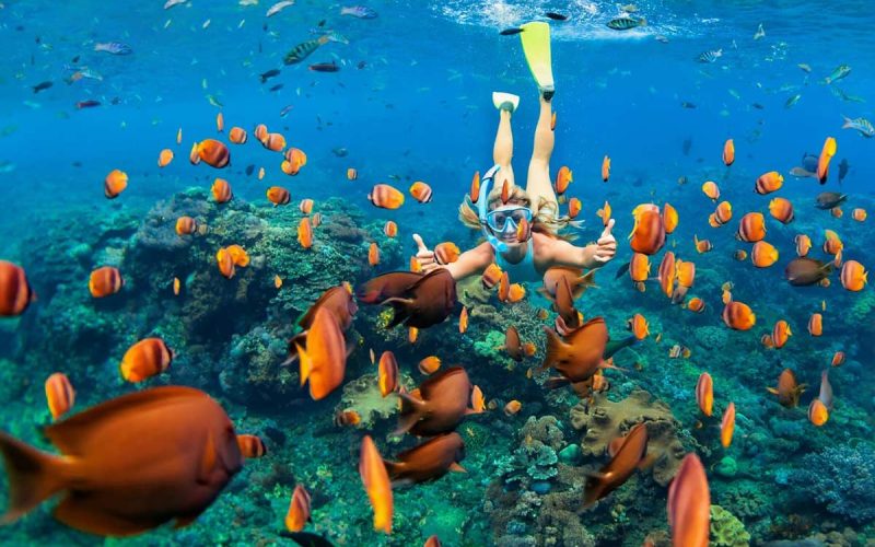 Snorkeling