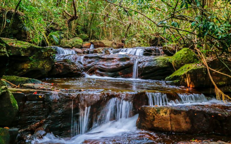 Tranh Stream