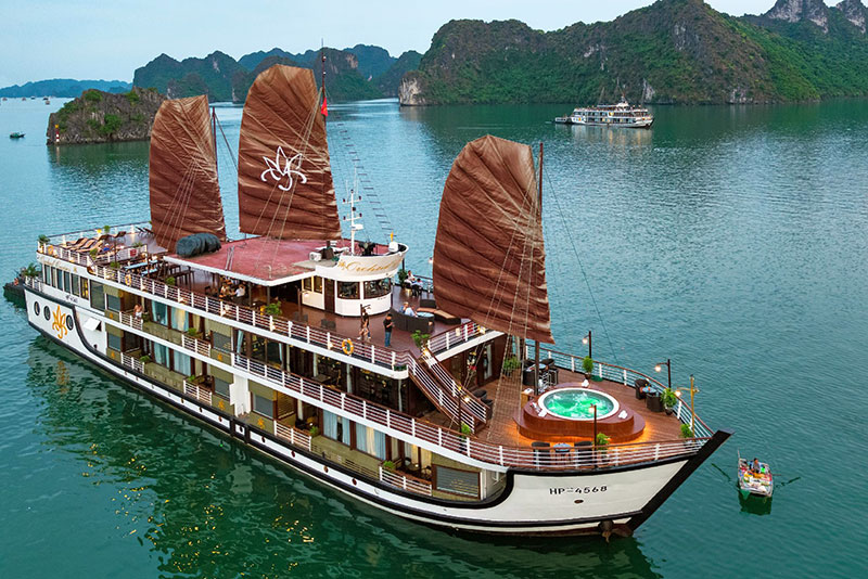 4 Star Orchid Trendy Cruise Luxury
