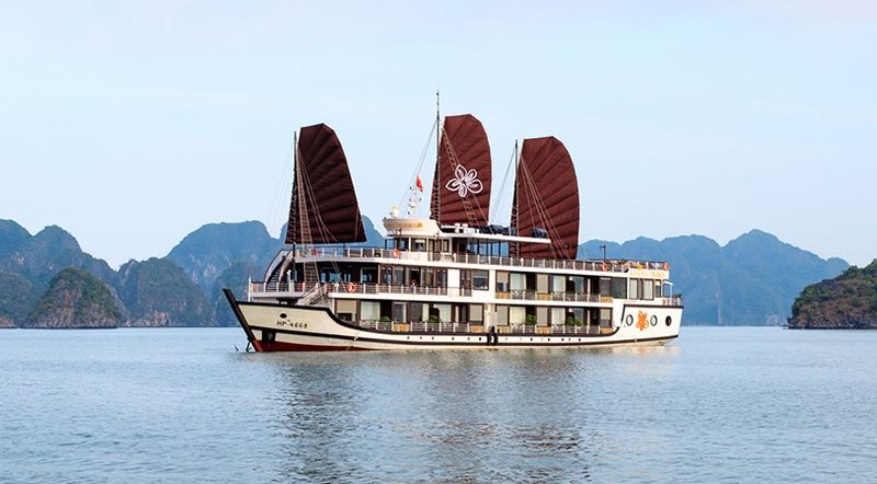 4 Star Orchid Trendy Cruise Luxury overview