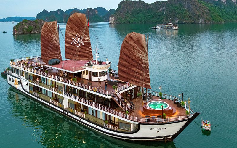 orchid trendy cruise lan ha bay