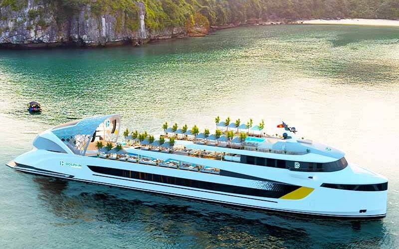 Dolphin cruise