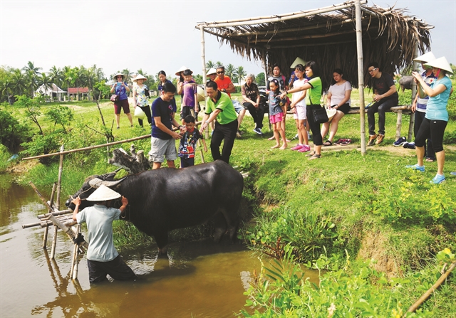 Buffalo Tours